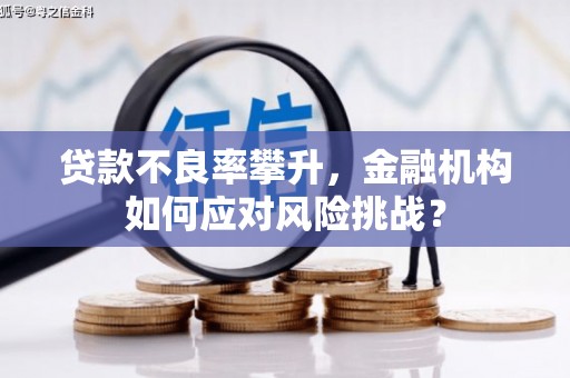 滁州贷款不良率攀升，金融机构如何应对风险挑战？