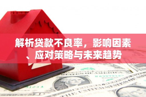 滁州解析贷款不良率，影响因素、应对策略与未来趋势