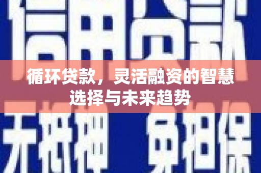 滁州循环贷款，灵活融资的智慧选择与未来趋势