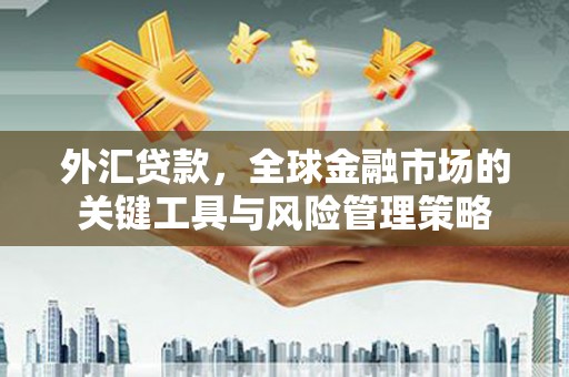 滁州外汇贷款，全球金融市场的关键工具与风险管理策略
