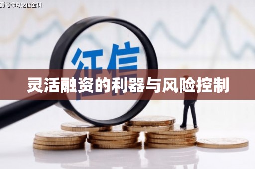 滁州灵活融资的利器与风险控制