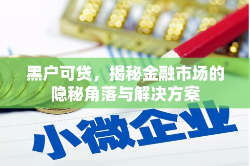 滁州黑户可贷，揭秘金融市场的隐秘角落与解决方案