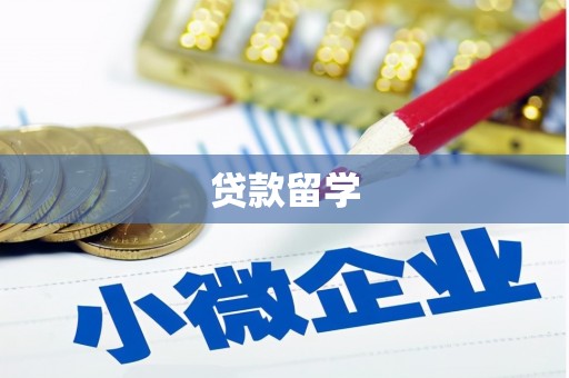 滁州贷款留学