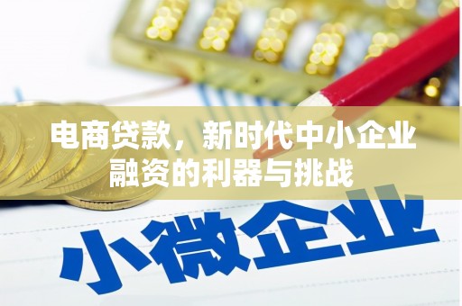 滁州电商贷款，新时代中小企业融资的利器与挑战
