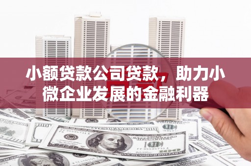 滁州小额贷款公司贷款，助力小微企业发展的金融利器