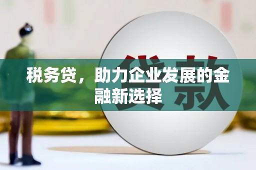 滁州税务贷，助力企业发展的金融新选择