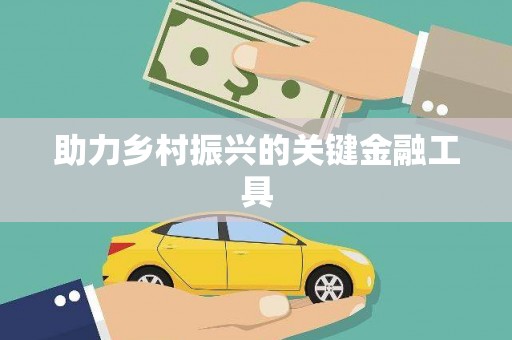 滁州助力乡村振兴的关键金融工具