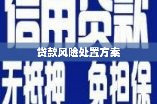 滁州贷款风险处置方案