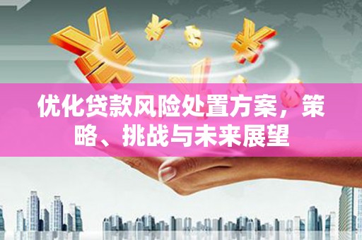 滁州优化贷款风险处置方案，策略、挑战与未来展望