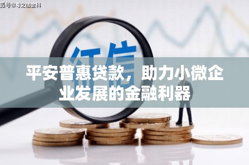 滁州平安普惠贷款，助力小微企业发展的金融利器