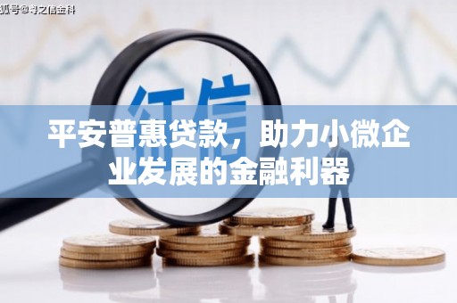滁州平安普惠贷款，助力小微企业发展的金融利器