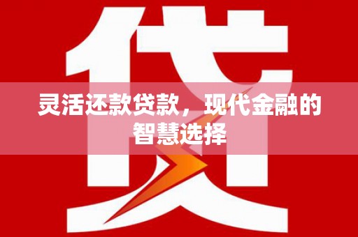 滁州灵活还款贷款，现代金融的智慧选择