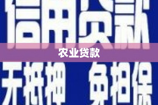 滁州农业贷款