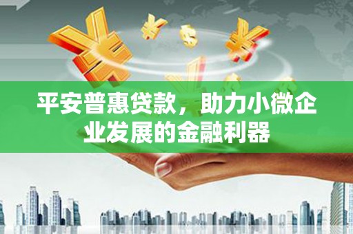 滁州平安普惠贷款，助力小微企业发展的金融利器