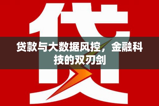 滁州贷款与大数据风控，金融科技的双刃剑