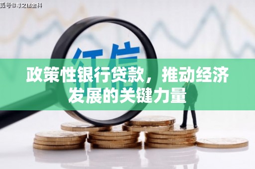 滁州政策性银行贷款，推动经济发展的关键力量
