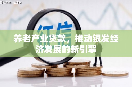 滁州养老产业贷款，推动银发经济发展的新引擎