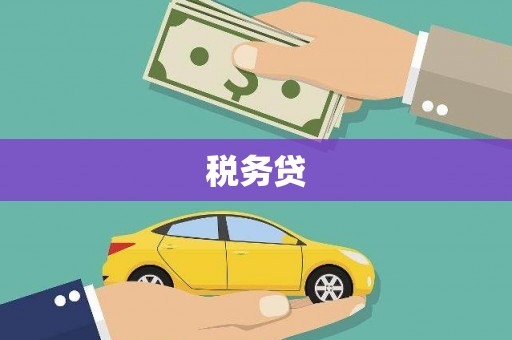 滁州税务贷