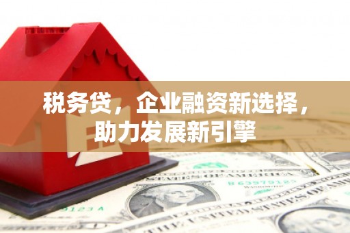 滁州税务贷，企业融资新选择，助力发展新引擎