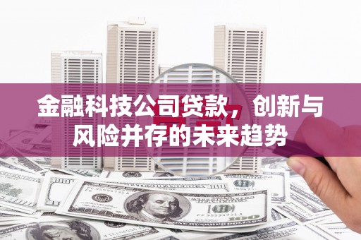 滁州金融科技公司贷款，创新与风险并存的未来趋势