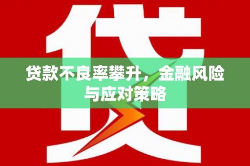 滁州贷款不良率攀升，金融风险与应对策略
