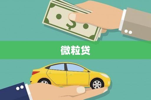 滁州微粒贷