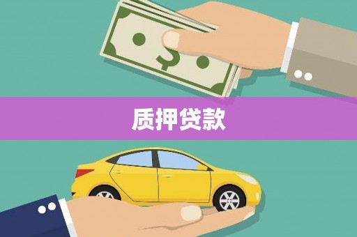 滁州质押贷款