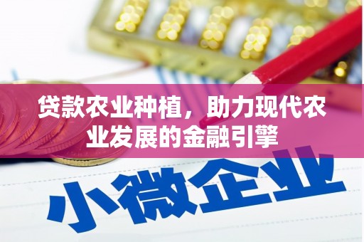 滁州贷款农业种植，助力现代农业发展的金融引擎