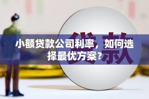 滁州小额贷款公司利率，如何选择最优方案？