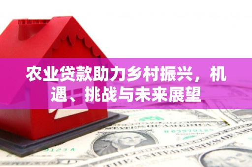 滁州农业贷款助力乡村振兴，机遇、挑战与未来展望