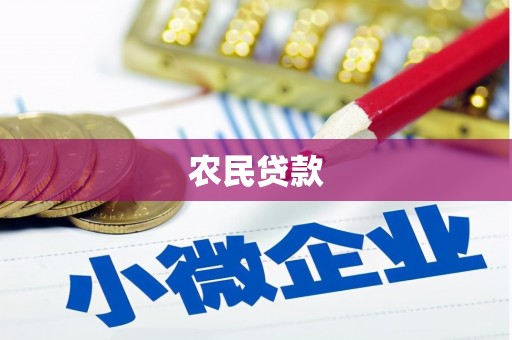 滁州农民贷款