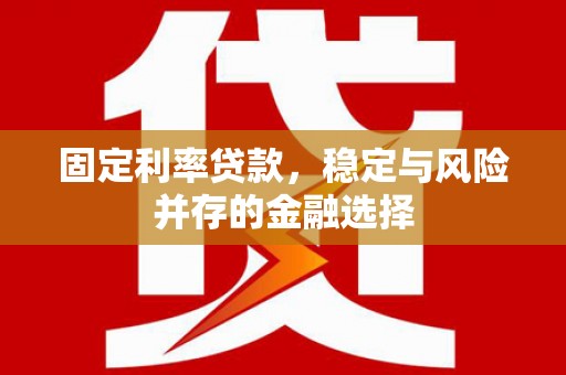 滁州固定利率贷款，稳定与风险并存的金融选择