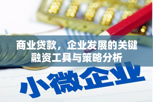 滁州商业贷款，企业发展的关键融资工具与策略分析