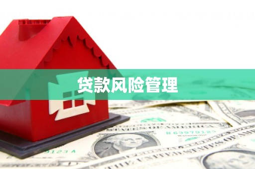 滁州贷款风险管理