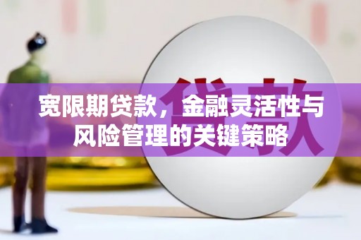 滁州宽限期贷款，金融灵活性与风险管理的关键策略