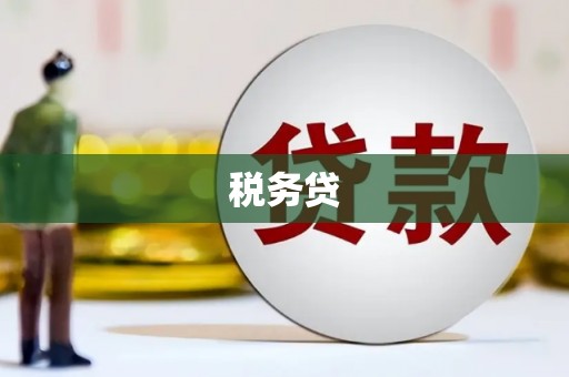 滁州税务贷
