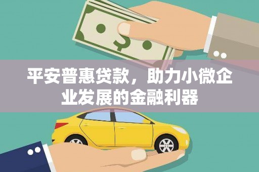 滁州平安普惠贷款，助力小微企业发展的金融利器