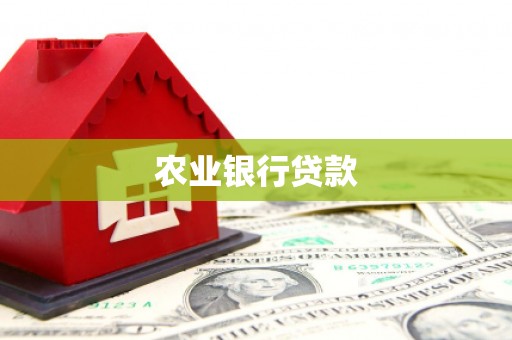 滁州农业银行贷款