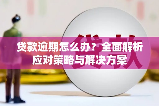 滁州贷款逾期怎么办？全面解析应对策略与解决方案