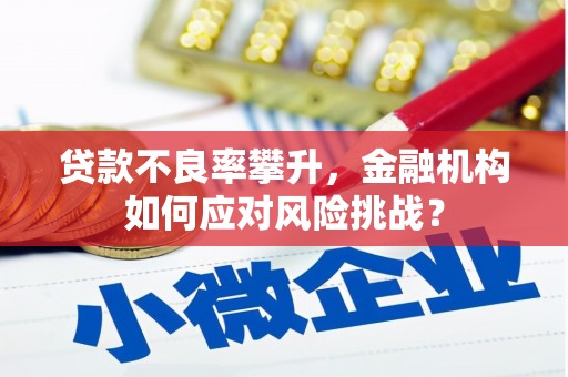 滁州贷款不良率攀升，金融机构如何应对风险挑战？