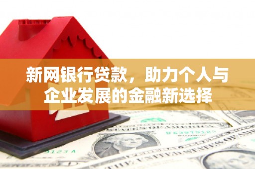 滁州新网银行贷款，助力个人与企业发展的金融新选择