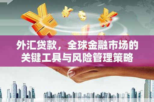 滁州外汇贷款，全球金融市场的关键工具与风险管理策略
