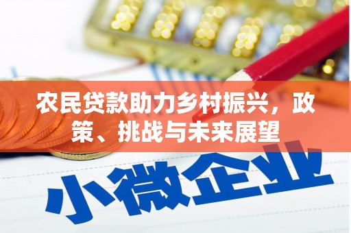 滁州农民贷款助力乡村振兴，政策、挑战与未来展望