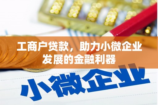 滁州工商户贷款，助力小微企业发展的金融利器
