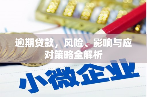 滁州逾期贷款，风险、影响与应对策略全解析