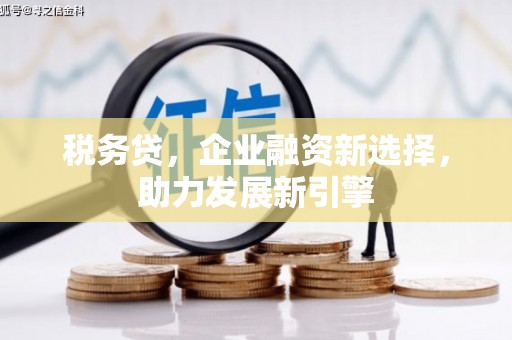 滁州税务贷，企业融资新选择，助力发展新引擎