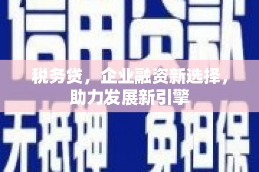 滁州税务贷，企业融资新选择，助力发展新引擎
