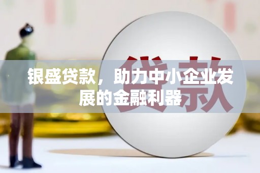 滁州银盛贷款，助力中小企业发展的金融利器