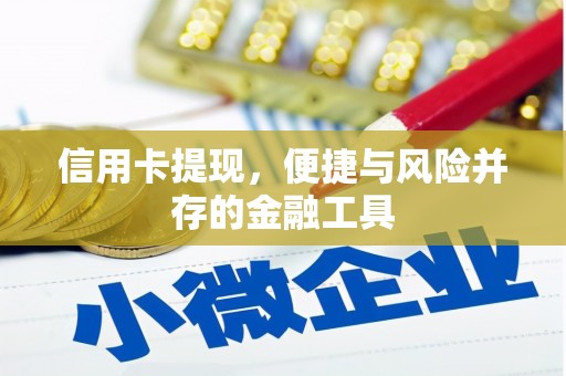 滁州信用卡提现，便捷与风险并存的金融工具