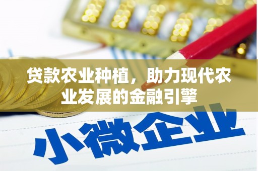 滁州贷款农业种植，助力现代农业发展的金融引擎